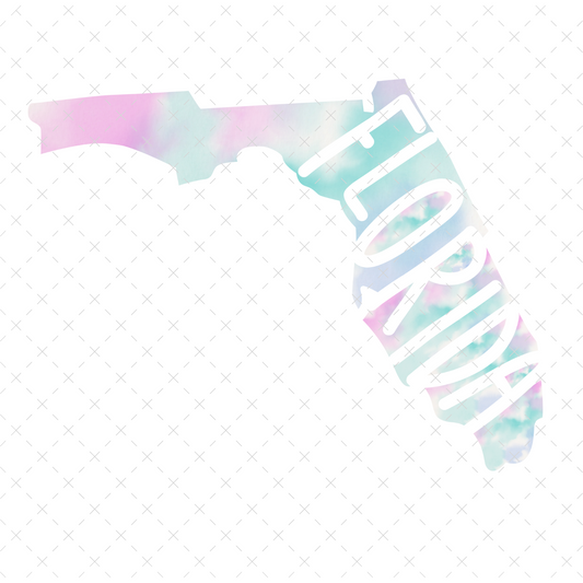 Florida Rainbow Watercolor - DTF Transfer